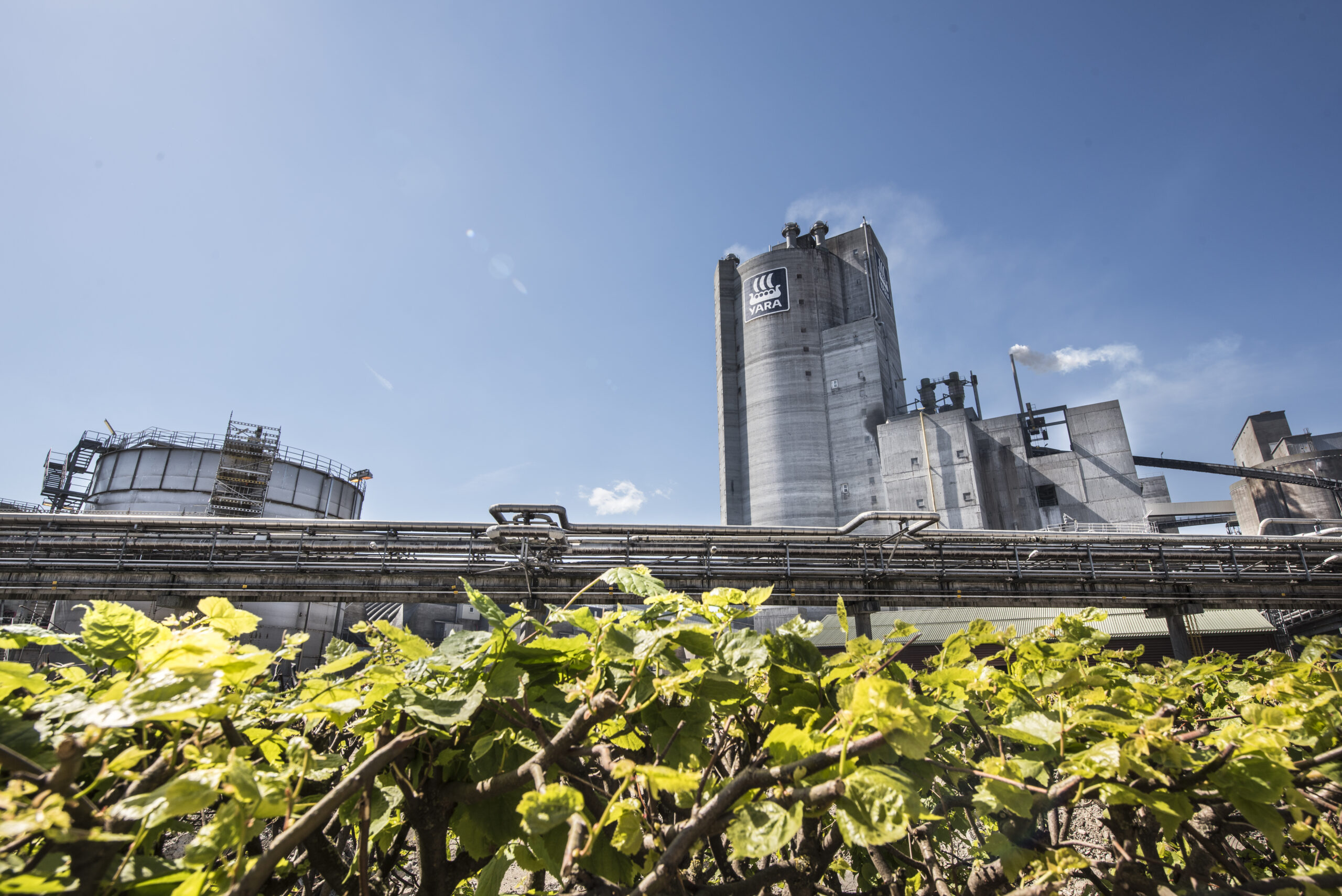 Fertilizer Crisis Response Bulletin #16 – Industry Perspectives from Yara